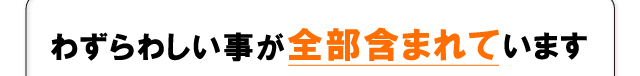 わずらわしい事が全部含まれています