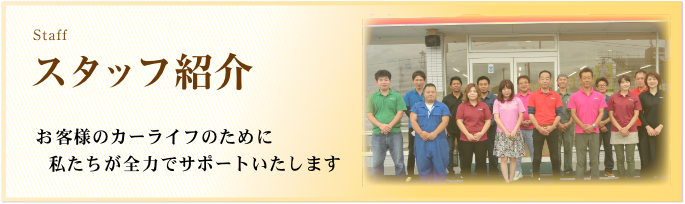 スタッフ紹介