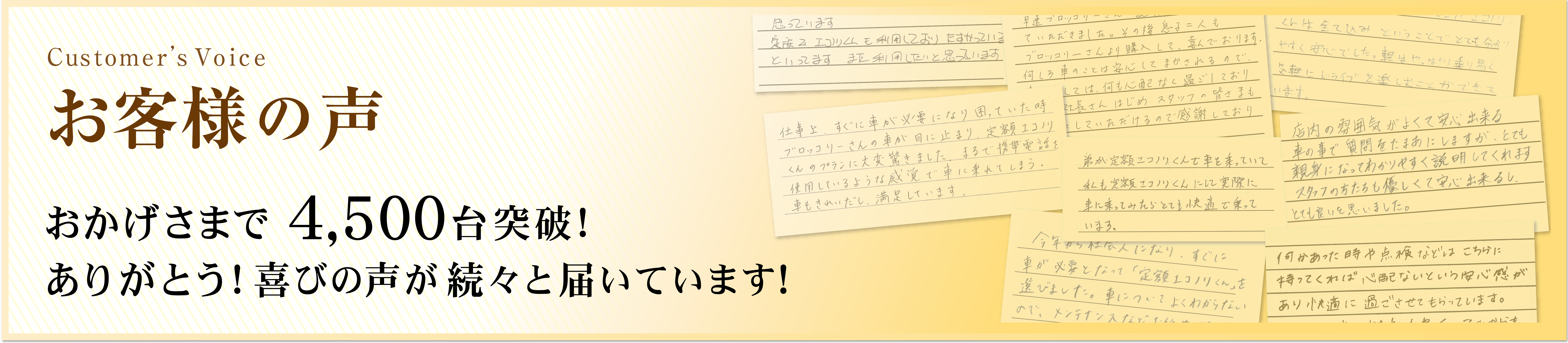 お客様の声