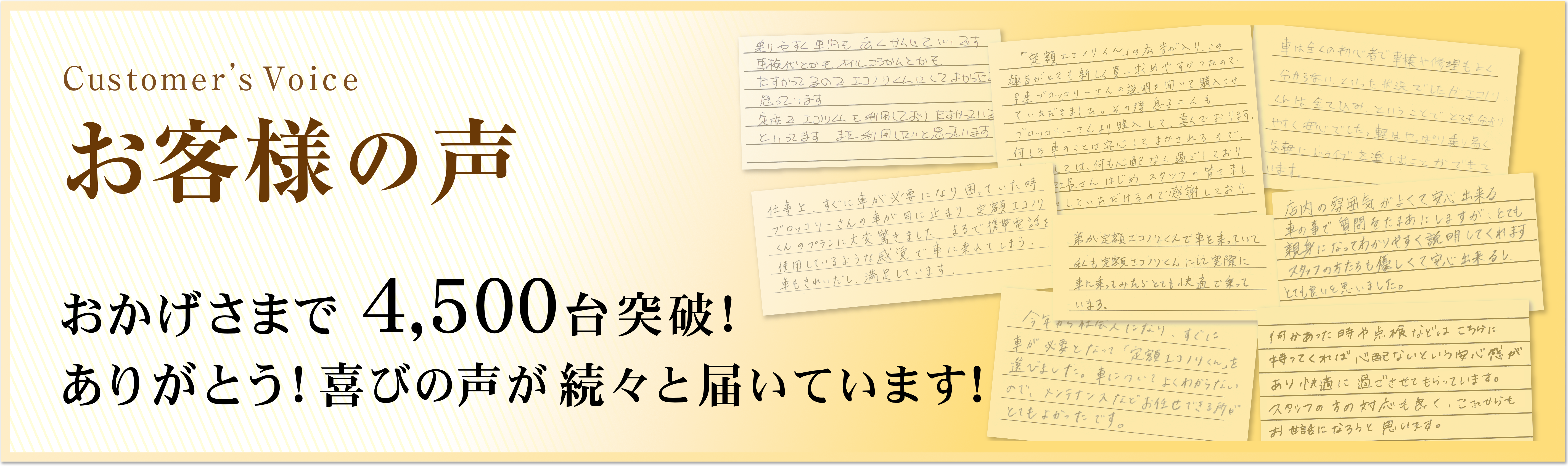 お客様の声